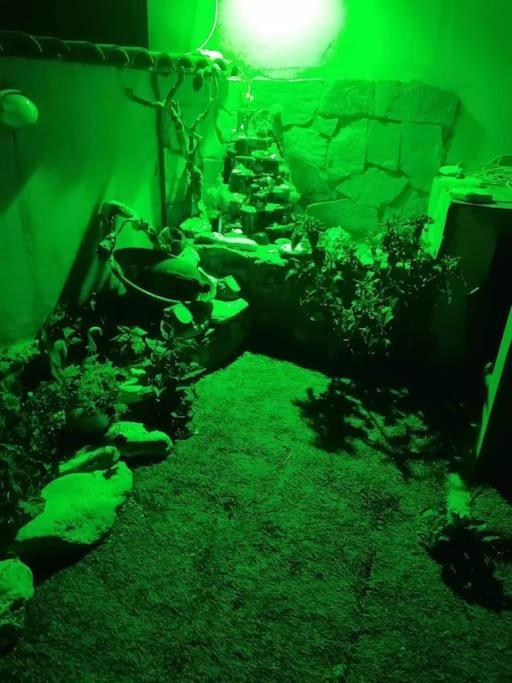 Angela'S Place - Stomio Residence Near The Sea Stomion  エクステリア 写真